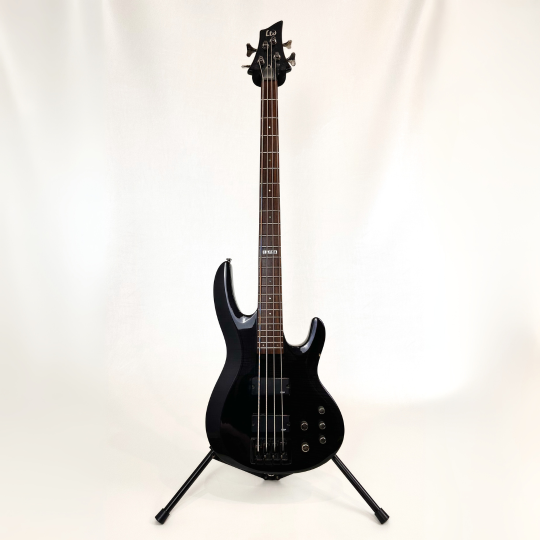 Hall of Fame: 2006 ESP LTD B-254 Bass Guitar in Black – Southside