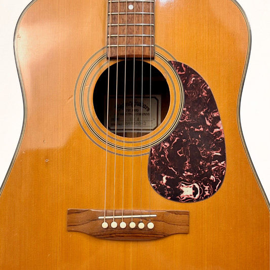 Sigma DM2 Dreadnought Acoustic Guitar