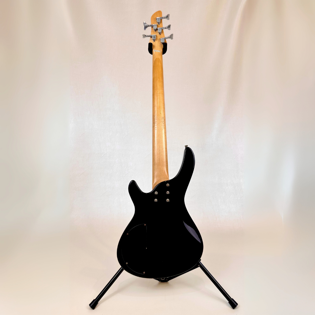 Aria 5-String Bass Guitar in Gloss Black