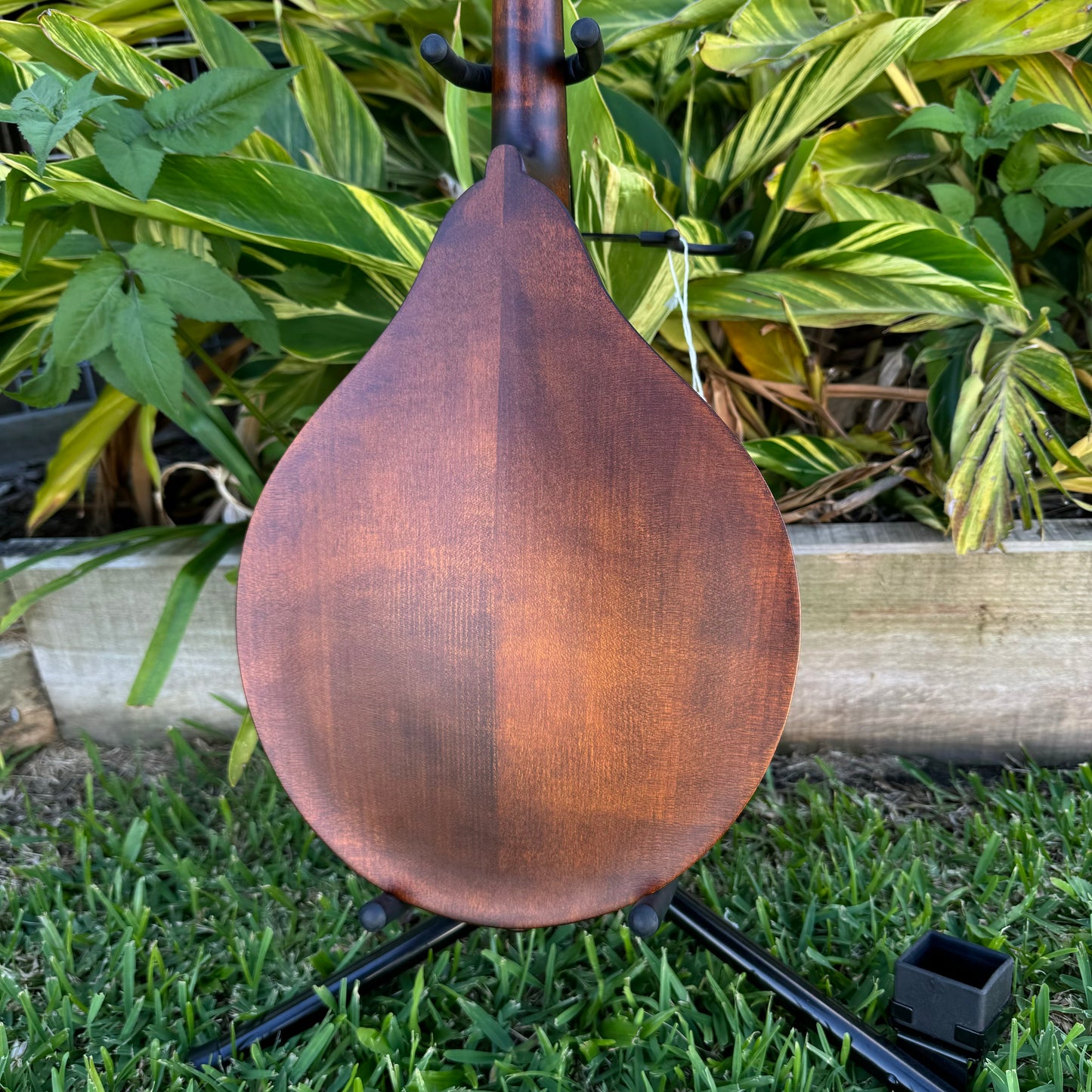 Eastman A-Style Mandolin with F-Hole