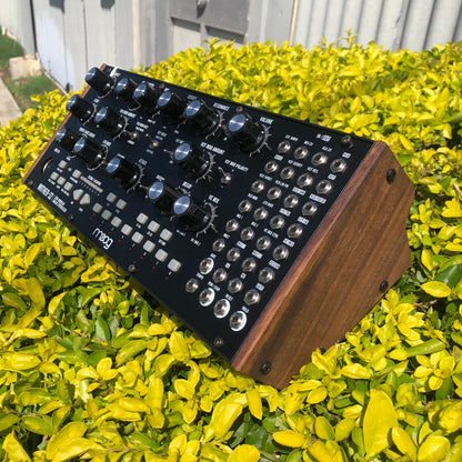 Moog Mother 32 Semi Modular Analog Synthesizer