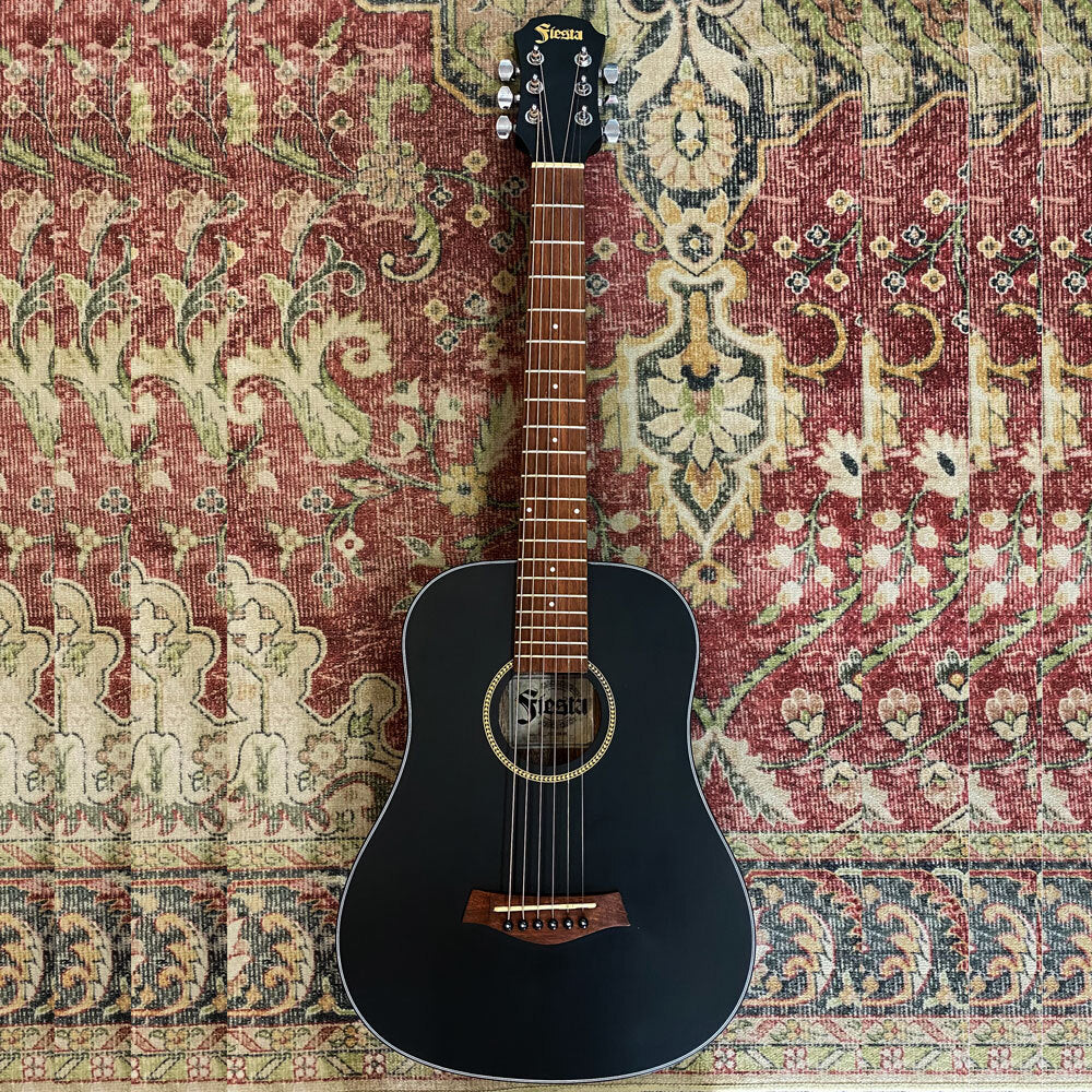 Aria Fiesta Series FSTD58BK Traveller Acoustic Guitar in Black Matte Finish