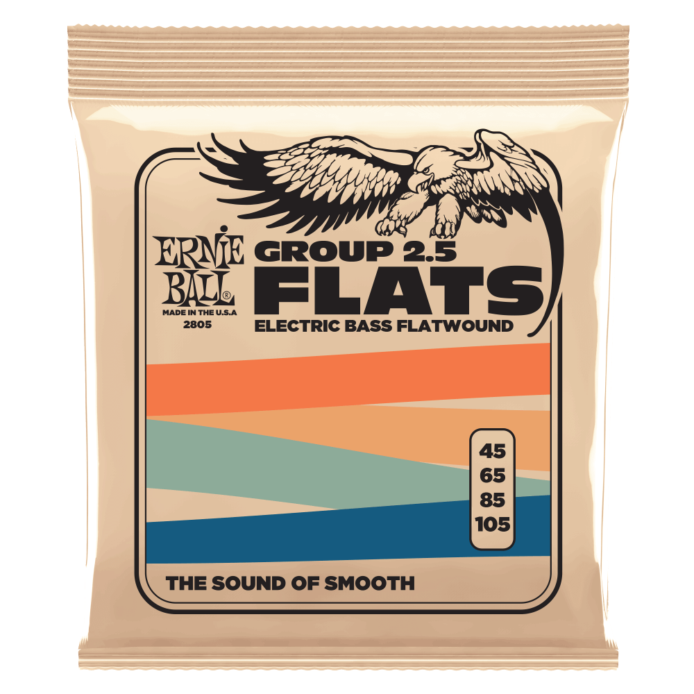 Ernie Ball Group P02805 2.5 Flats Electric Bass Flatwound Strings 45-105