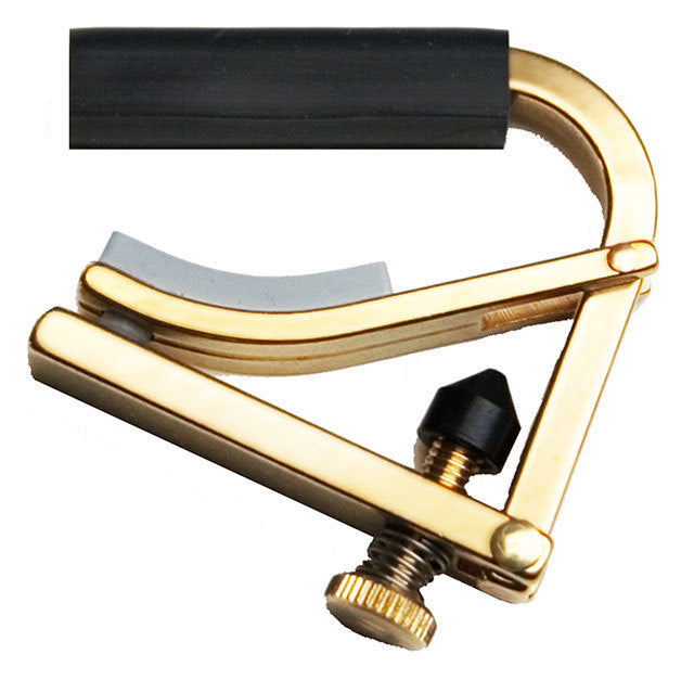 Shubb SHUBBC5B C5 Standard Banjo Capo in Brass