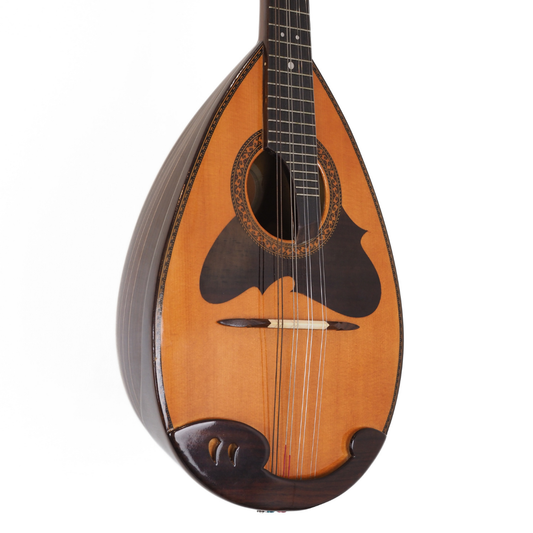 Hall of Fame: 1975 Suzuki M-218 Bowl-Back Mandolin