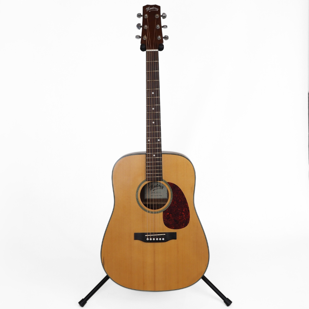 Hall of Fame: Monterey MW181S Dreadnought Acoustic Guitar