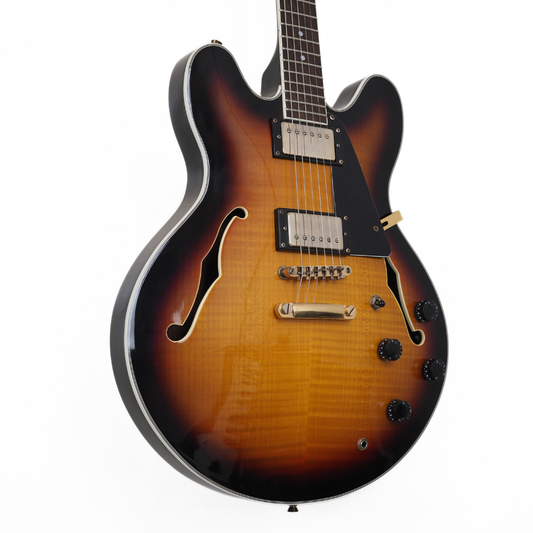 Freedom EL301 Semi-Hollowbody Electric Guitar in Sunburst