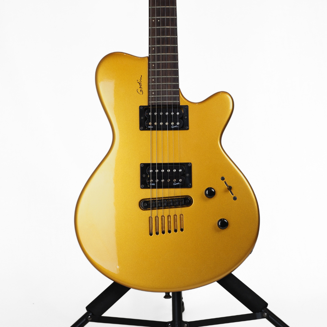 Hall of Fame: 2006 Godin Model LG Electric Guitar in Metallic Gold Gloss