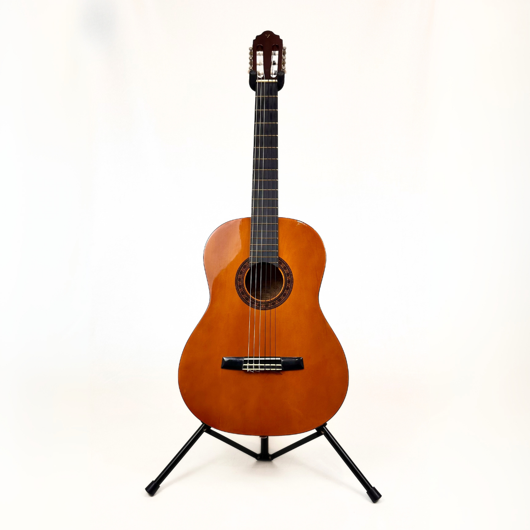 Hall of Fame: Valencia Model TC-14 Full-Size 4/4 Classical Guitar