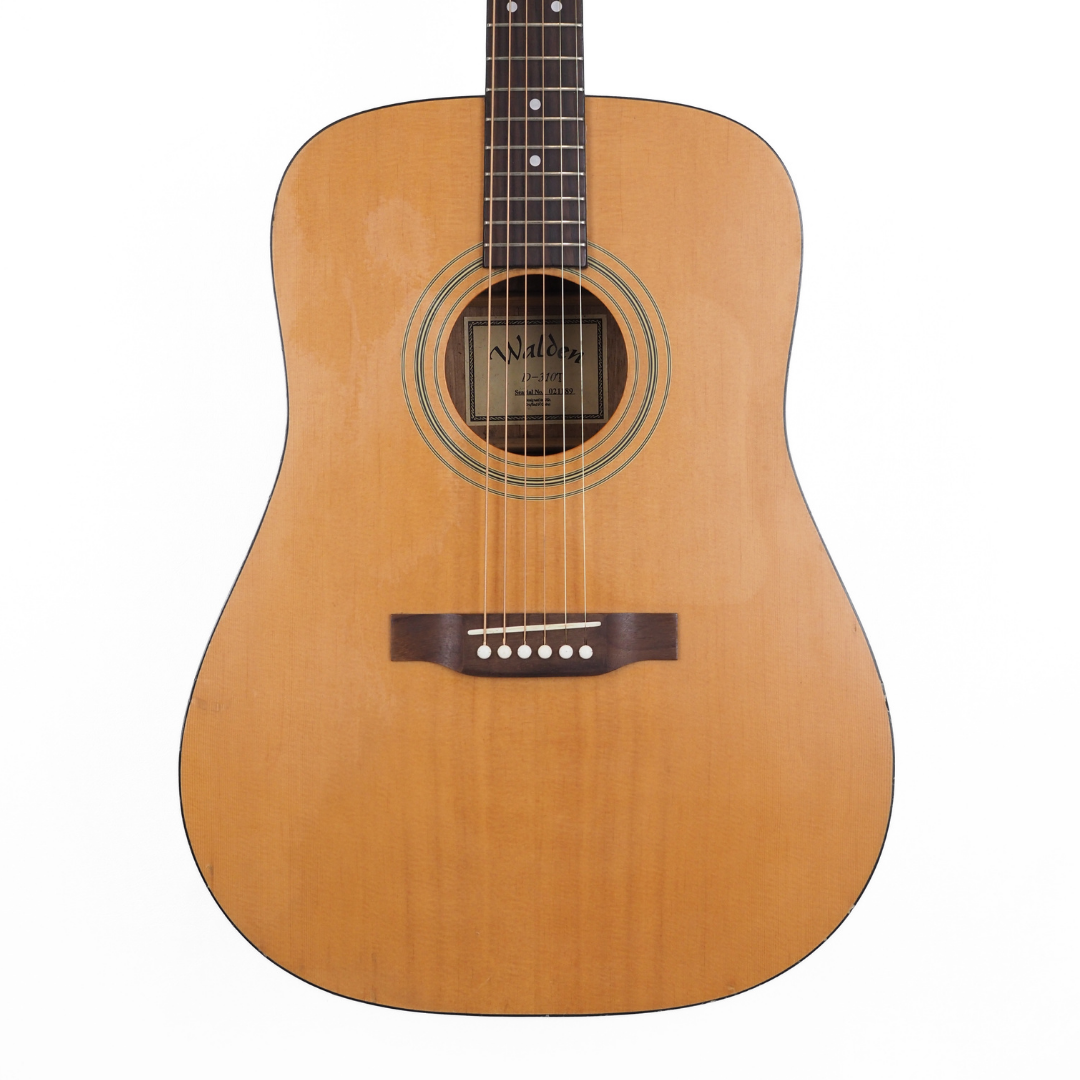 Hall of Fame: Walden D-310T Dreadnought Acoustic Guitar