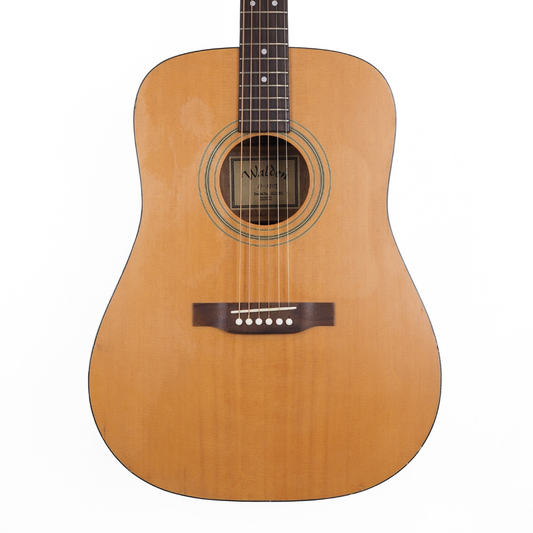 Hall of Fame: Walden D-310T Dreadnought Acoustic Guitar