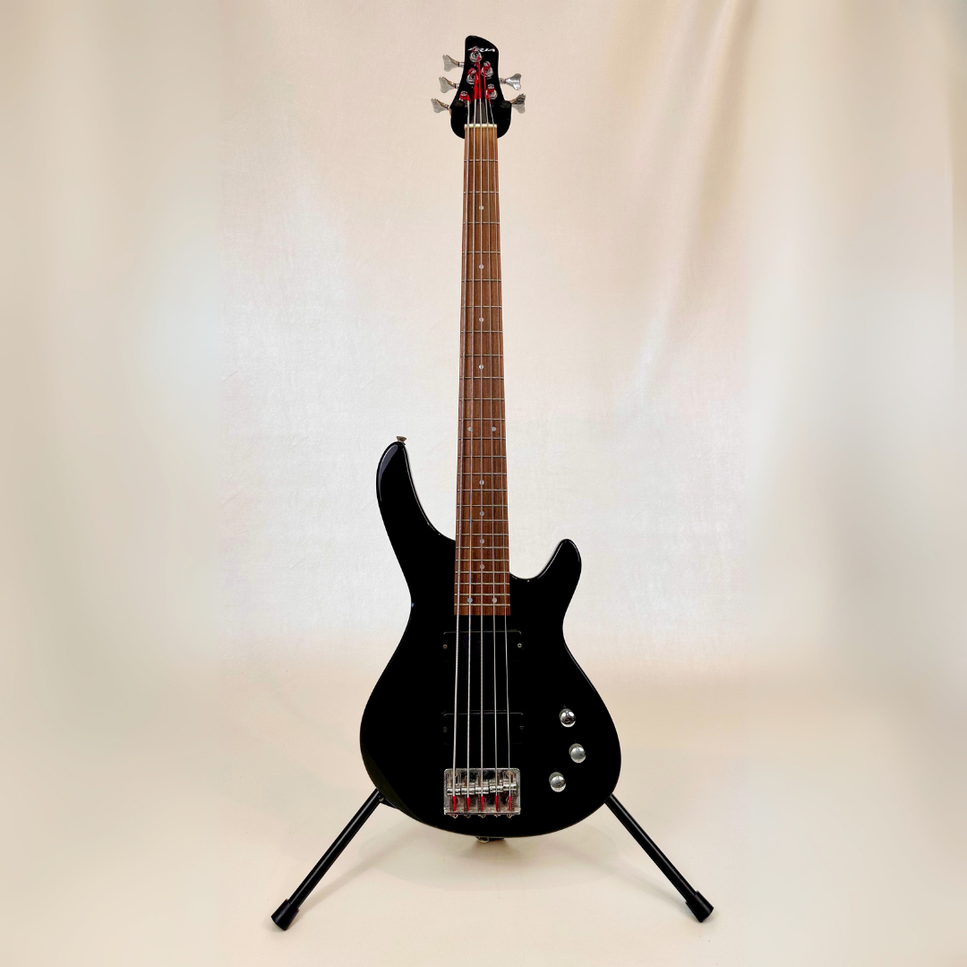 Hall of Fame: Aria 5-String Bass Guitar in Gloss Black