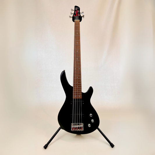 Hall of Fame: Aria 5-String Bass Guitar in Gloss Black
