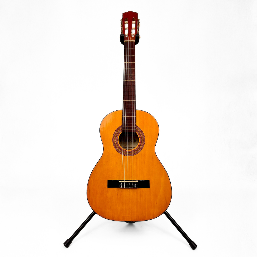 Hall of Fame: Valencia TC-30 3/4-Sized Classical Guitar
