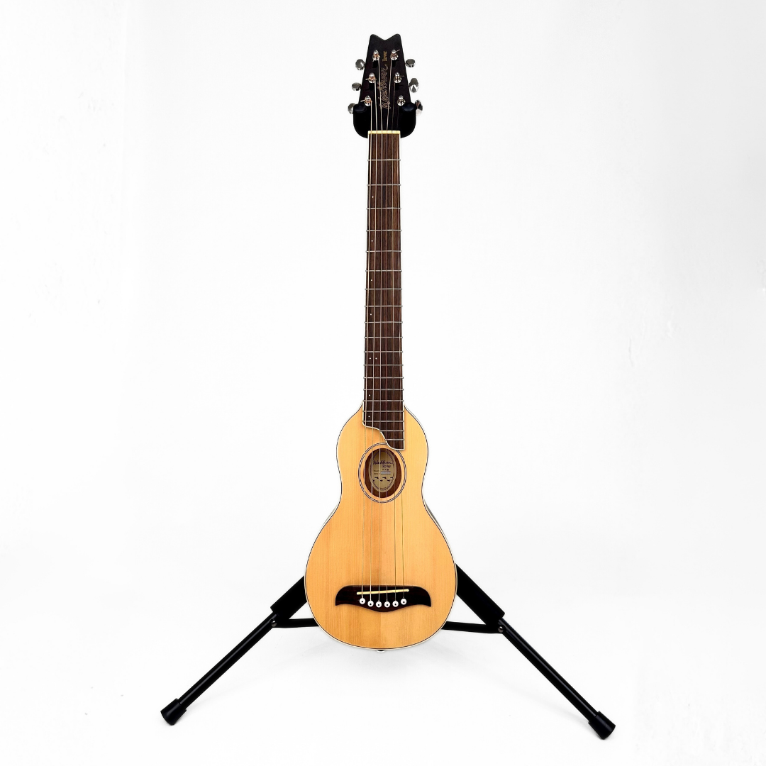 Hall of Fame: Washburn Rover RO10 Travel Acoustic Guitar with Case