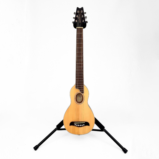 Hall of Fame: Washburn Rover RO10 Travel Acoustic Guitar with Case