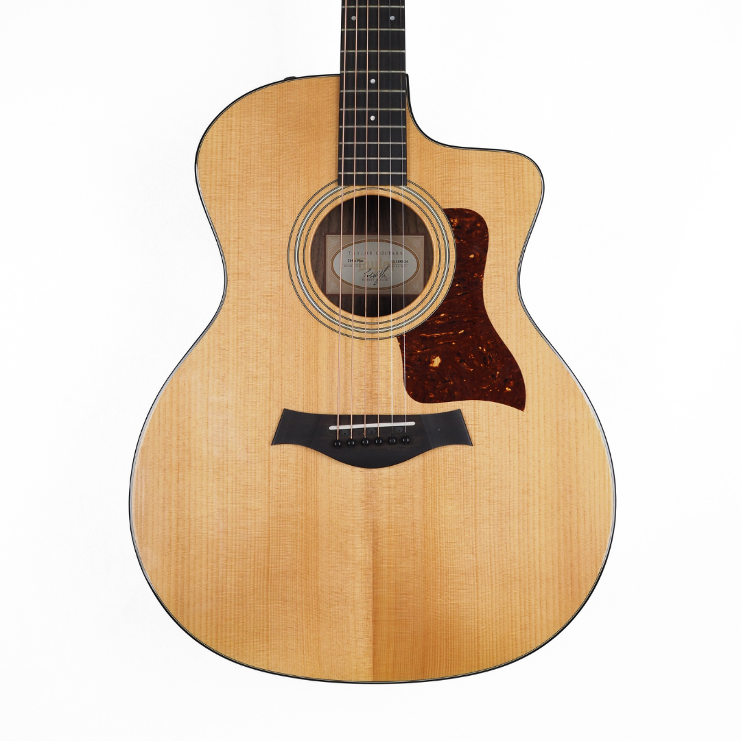 Hall of Fame: 2022 Taylor 214CE Plus Grand Auditorium Acoustic Guitar with Venetian Cutaway
