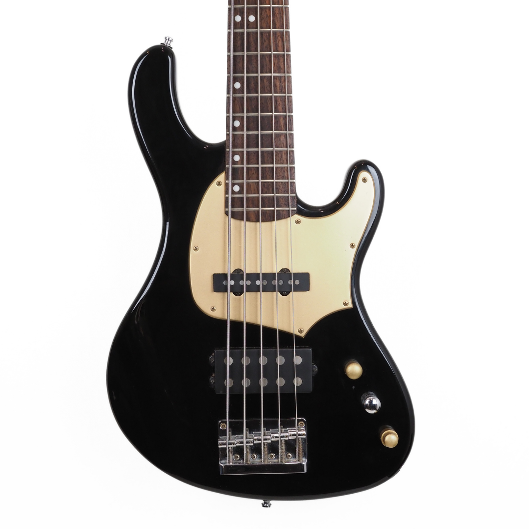 Hall of Fame: 2010 Cort GB35A 5-String Electric Bass Guitar in Black