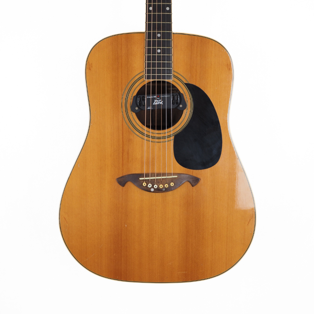 Hall of Fame: Vintage Vester VDN325 Dreadnought Acoustic Guitar with Soundhole Preamp System