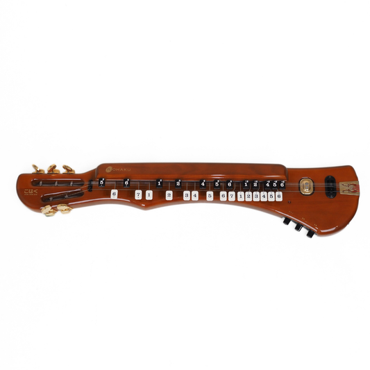 Hall of Fame: Suzuki Taisho Kohaku Electric Koto