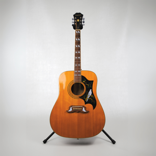 Hall of Fame: Epiphone Dove-NA Acoustic Guitar