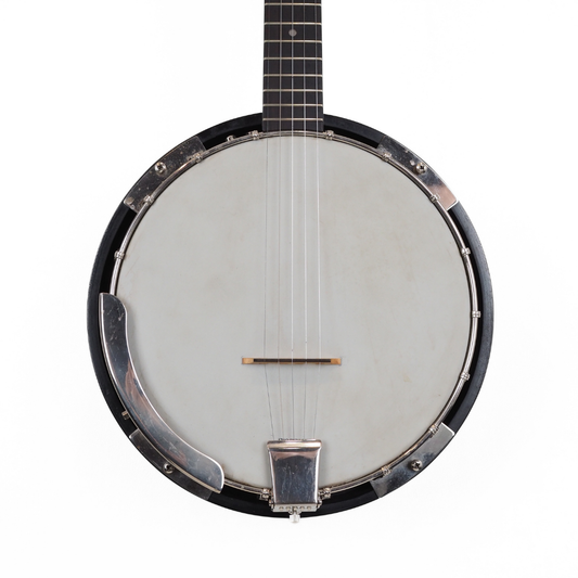 Hall of Fame: Fender FB-300 5-String Closed Back Banjo
