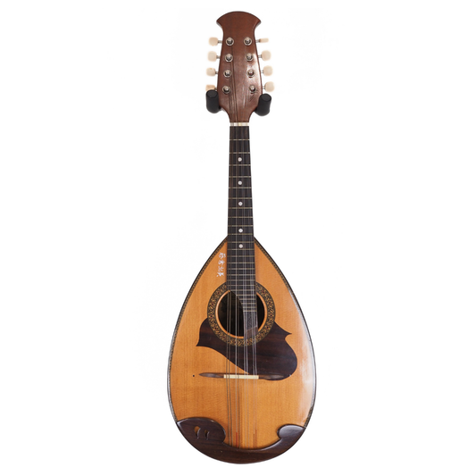 Hall of Fame: 1970s Suzuki Bowl-Back MIJ Mandolin