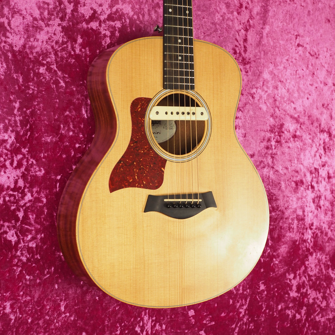 Hall of Fame: Taylor GS Mini w/ LR Baggs Pickup (Left-Handed)