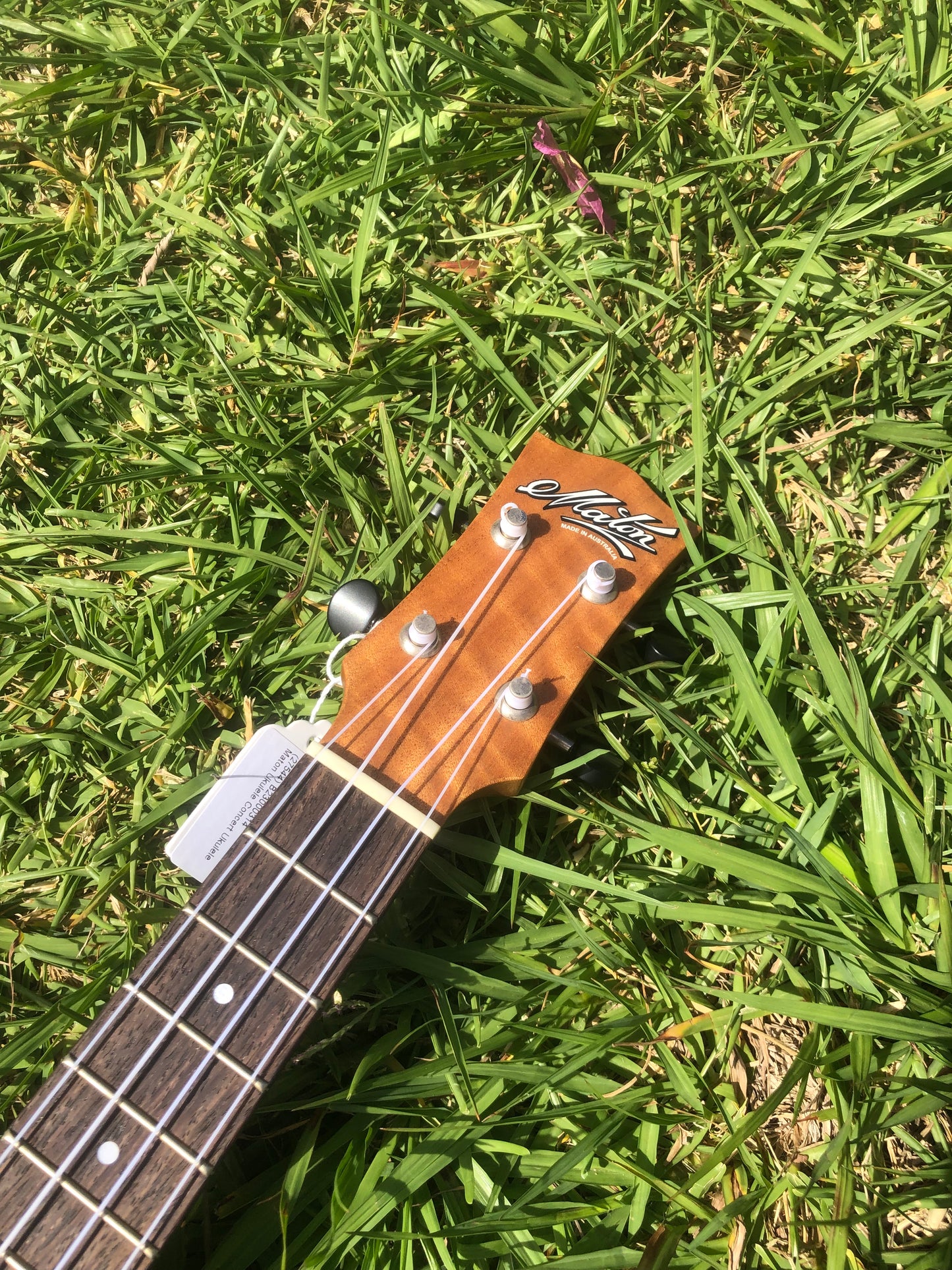 Maton Concert Ukulele