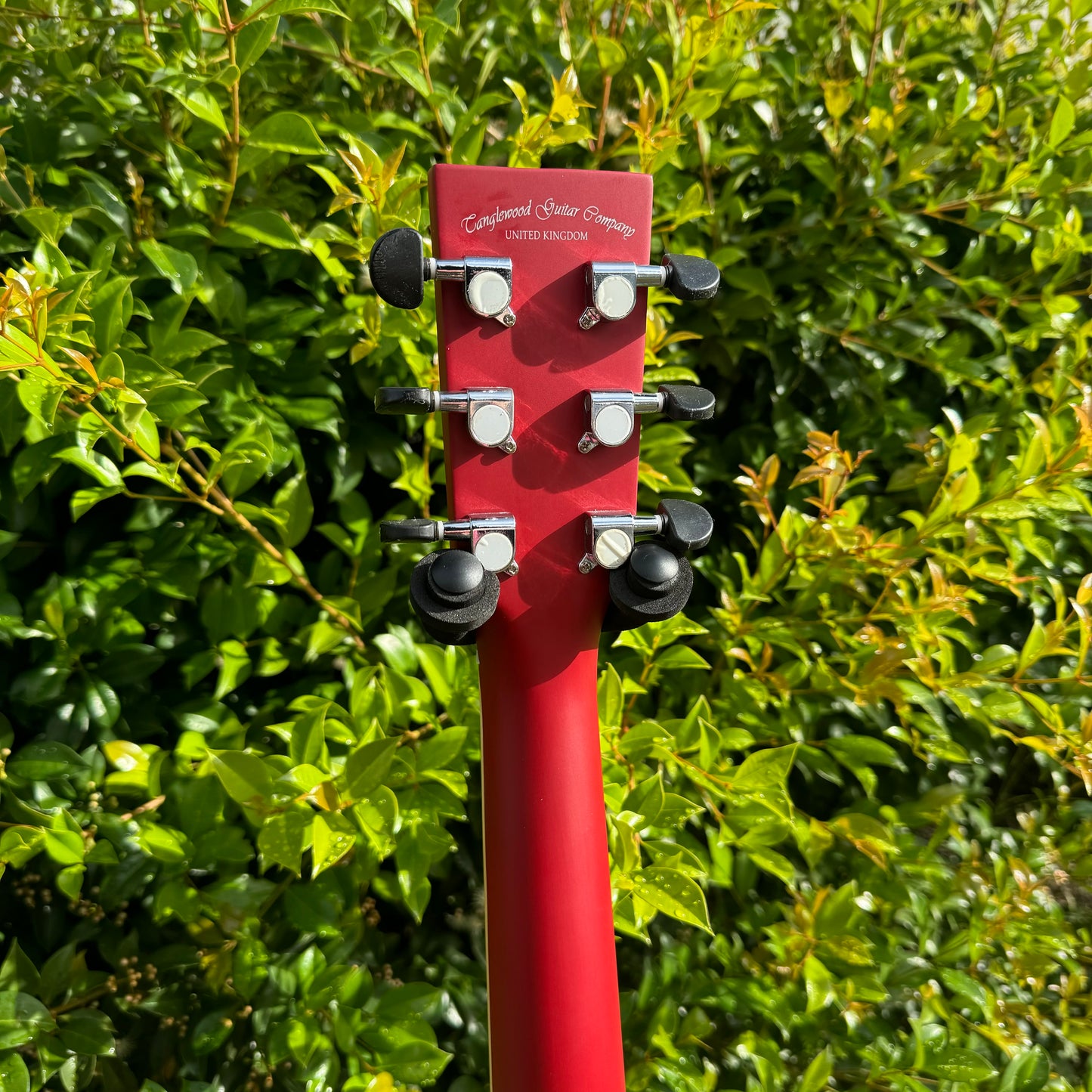 Tanglewood Discovery Series Dreadnought - Red