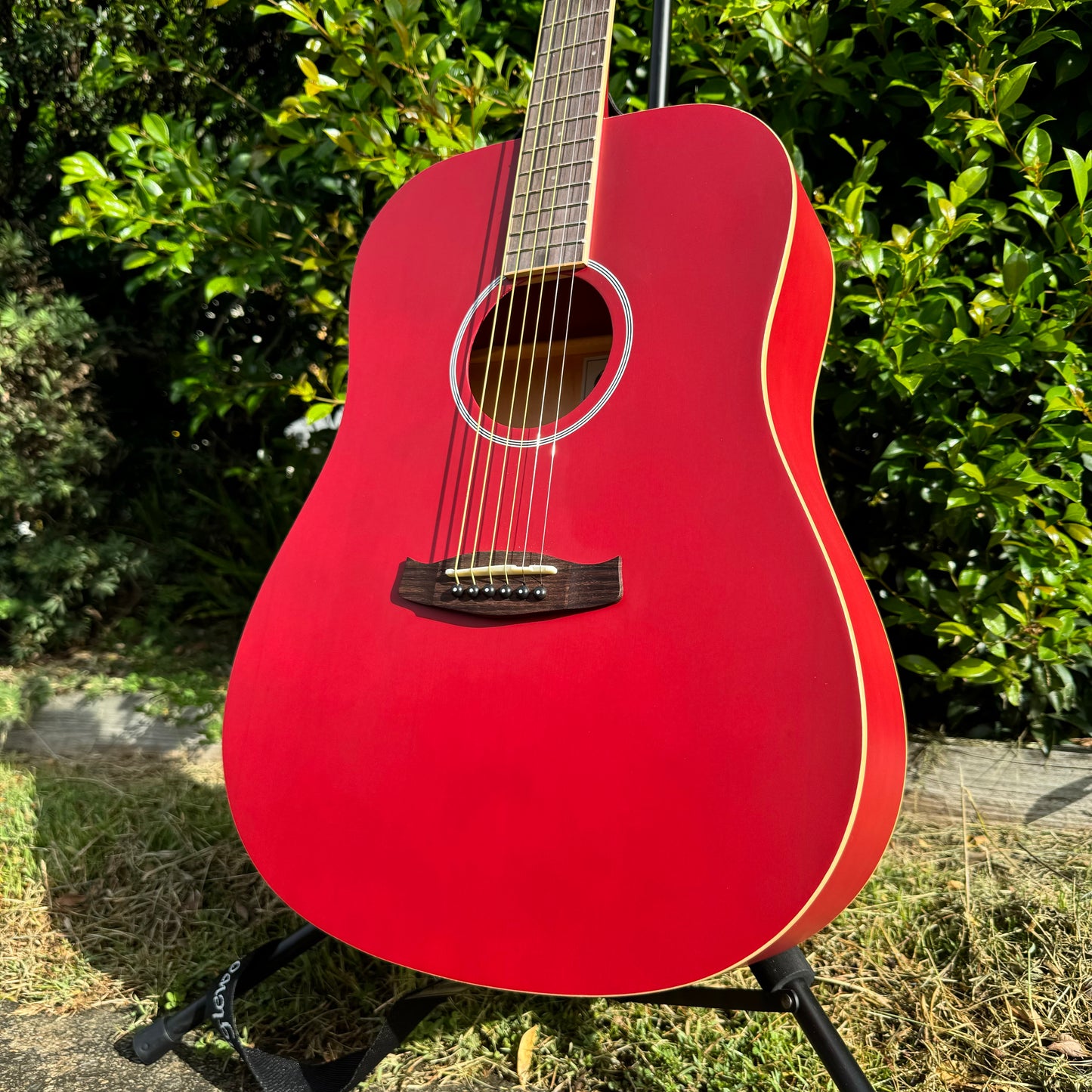 Tanglewood Discovery Series Dreadnought - Red