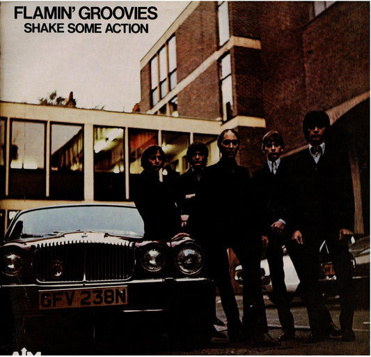 Flamin' Groovies – Shake Some Action (Vinyl, LP, Reissue, Yellow)