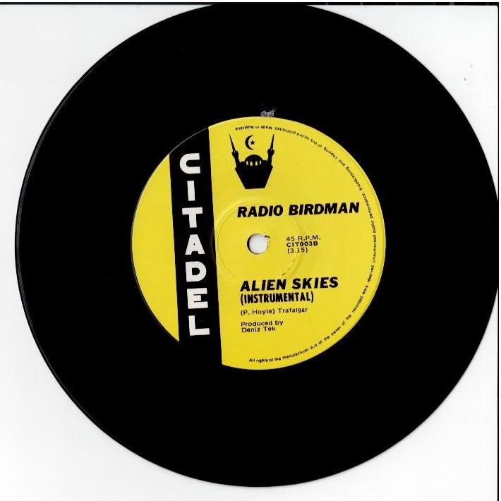 Deniz Tek - 100 Fools / Alien Skies (Vinyl, 7", 45 RPM, Single)