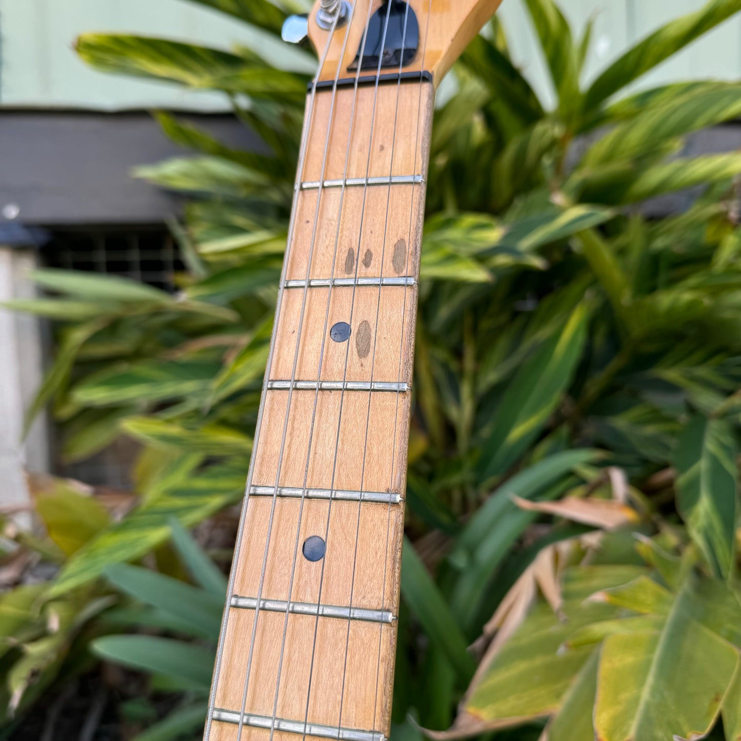 Peavey Predator