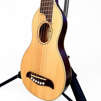 Washburn Rover RO10 Travel Acoustic Guitar with Case