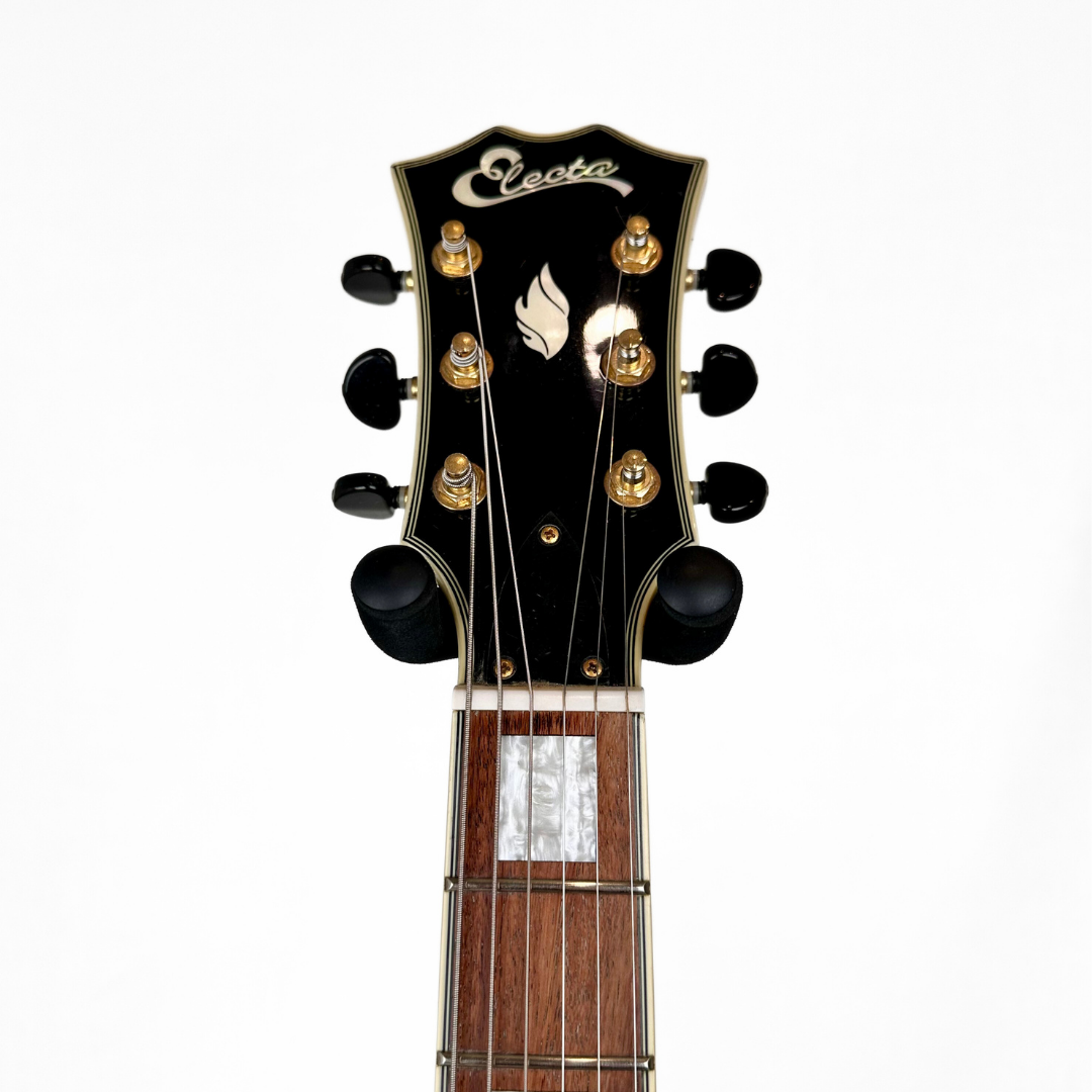 Electra Jazzbox Hollowbody Electric Guitar in Transparent Charcoal Burst