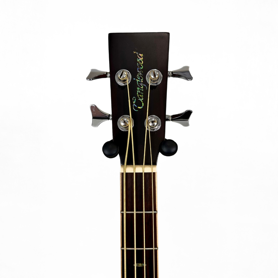 Tanglewood TW155 A/Bass Premier Series, Electro-Acoustic Bass Guitar