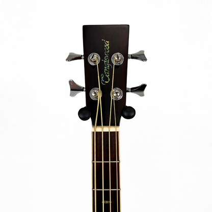 Tanglewood TW155 A/Bass Premier Series, Electro-Acoustic Bass Guitar