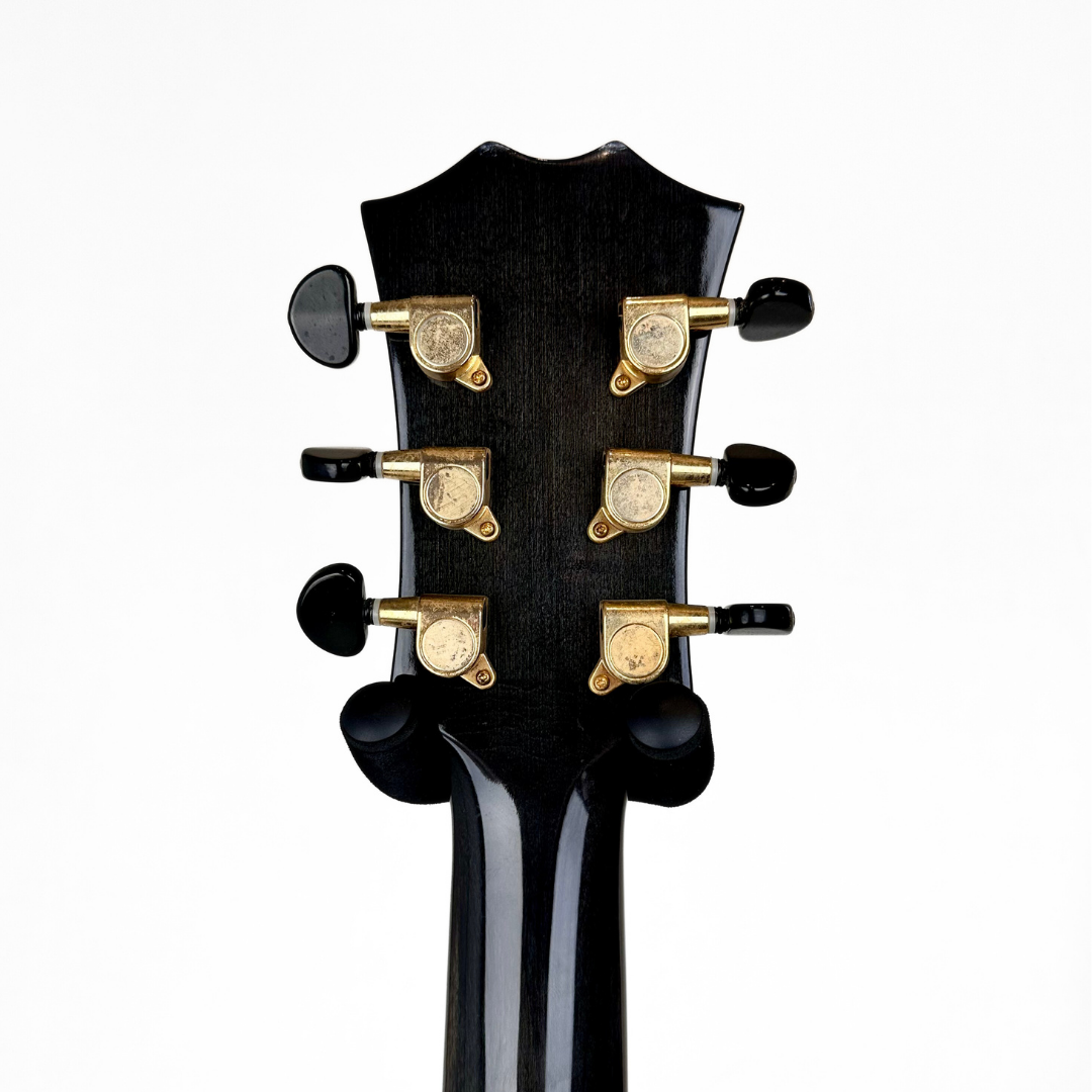 Electra Jazzbox Hollowbody Electric Guitar in Transparent Charcoal Burst