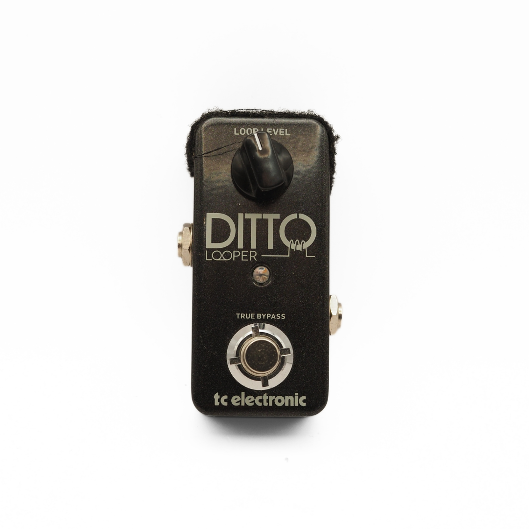 TC Electronic Ditto Looper Effects Pedal