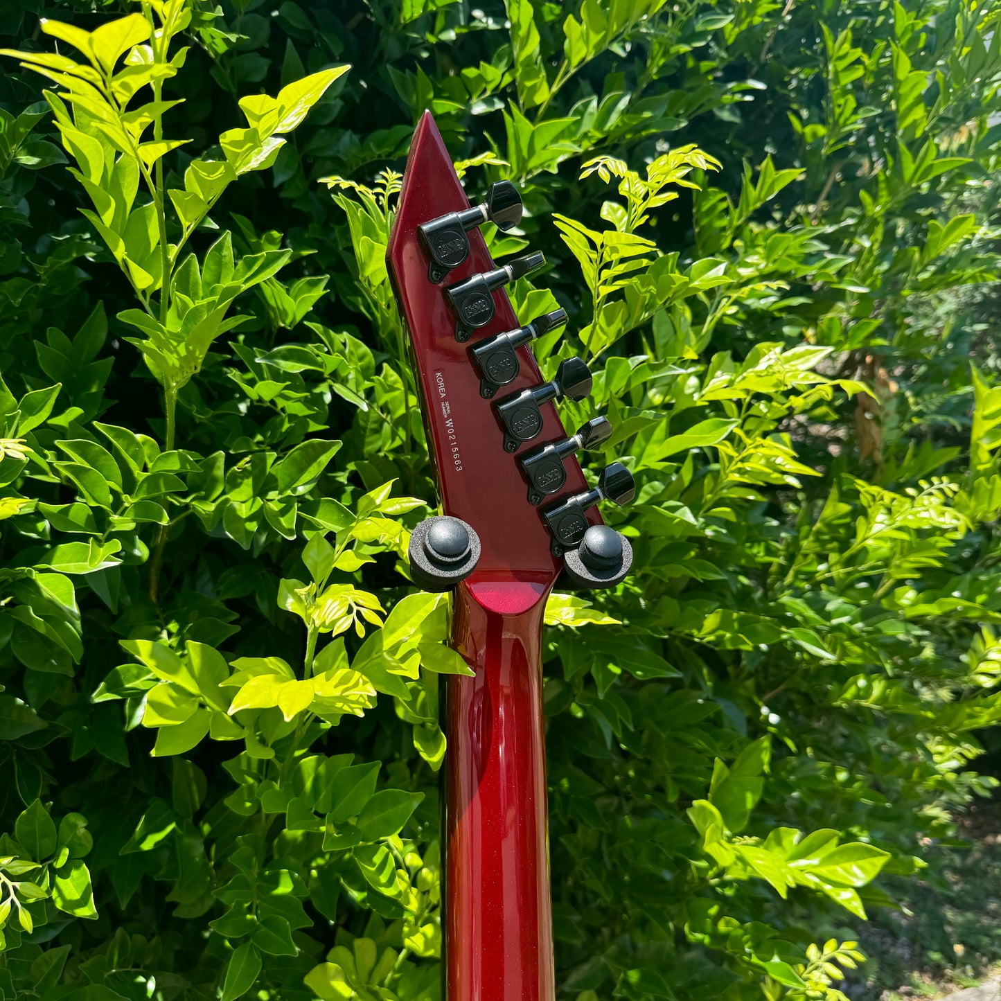 ESP LTD V-100 Flying V