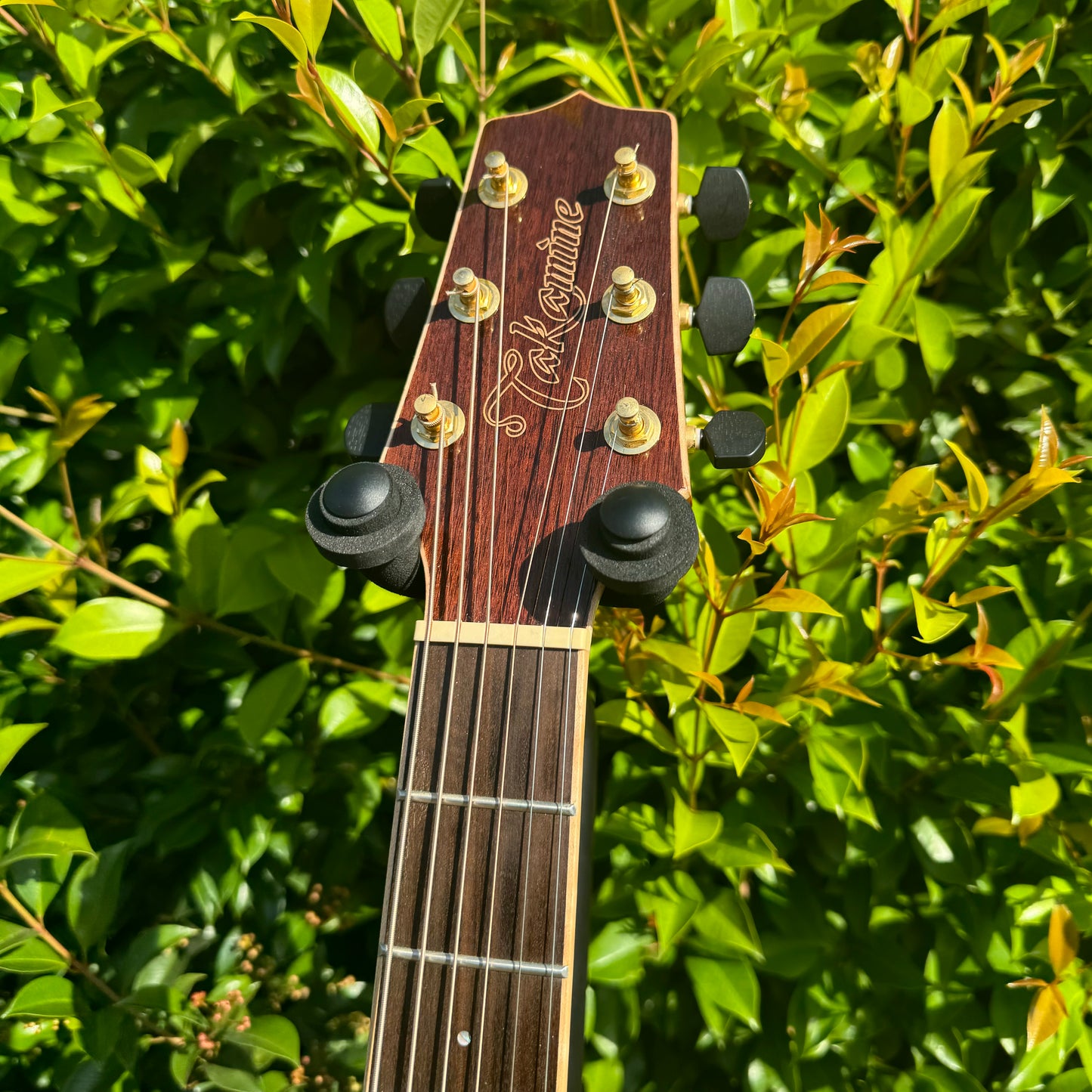 Takamine GD93CE-NAT