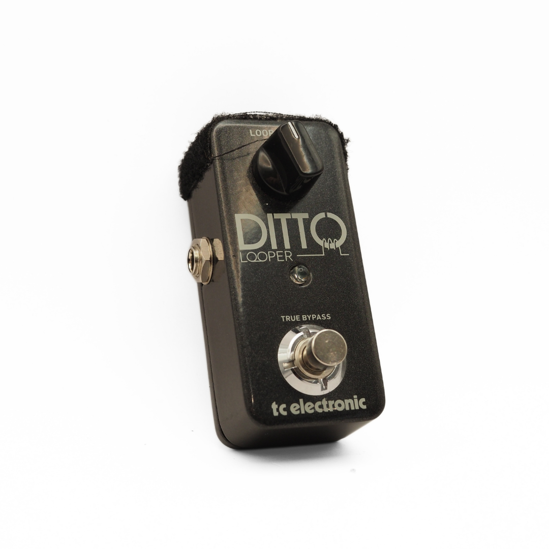 TC Electronic Ditto Looper Effects Pedal