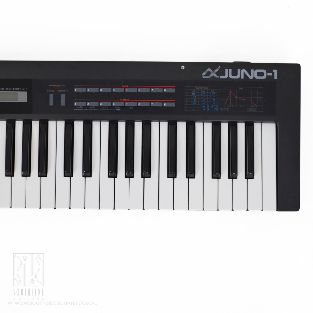 Roland Alpha Juno-1 49-Key Polyphonic Analog Synthesizer