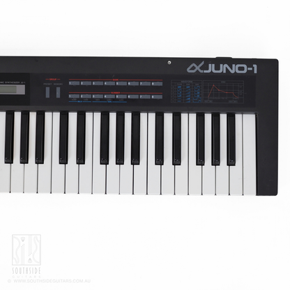 Roland Alpha Juno-1 49-Key Polyphonic Analog Synthesizer