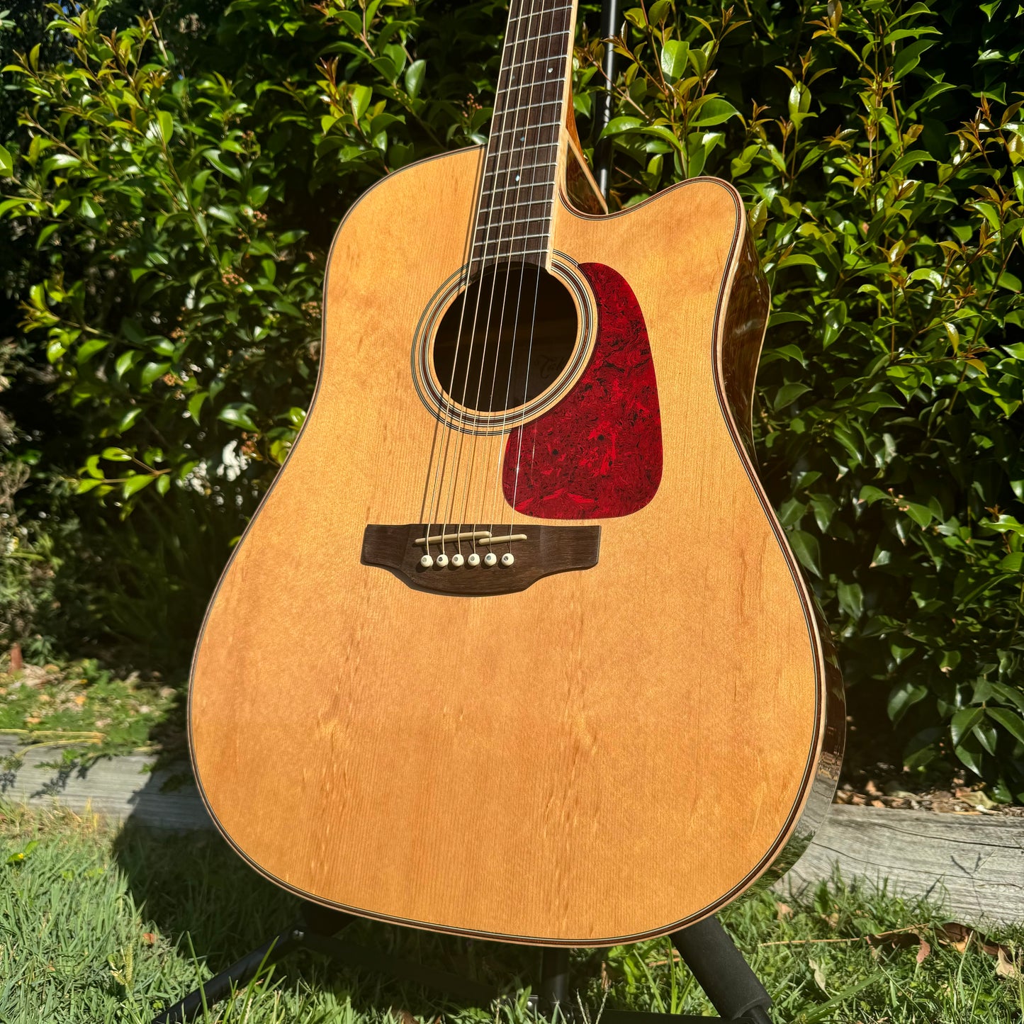 Takamine GD93CE-NAT