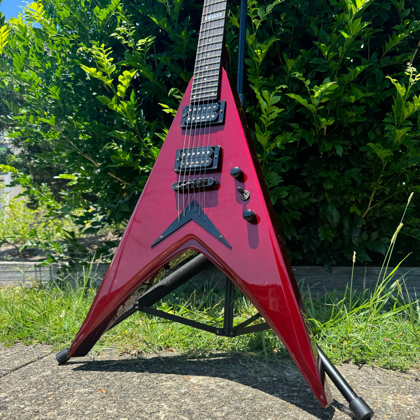 ESP LTD V-100 Flying V