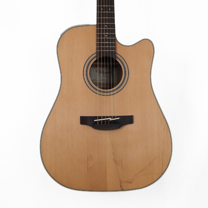 Takamine TGD20CENS G20 Series Dreadnought Guitar with Cutaway