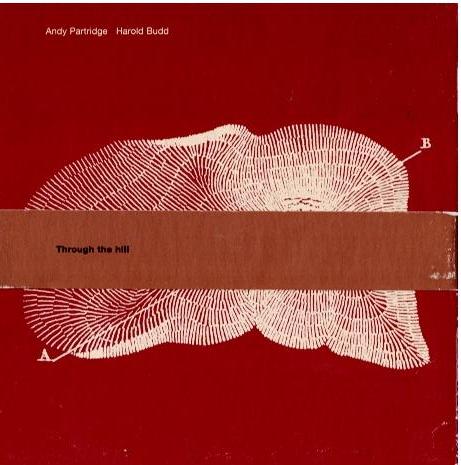 Andy Partridge / Harold Budd – Through The Hill (CD, Album)