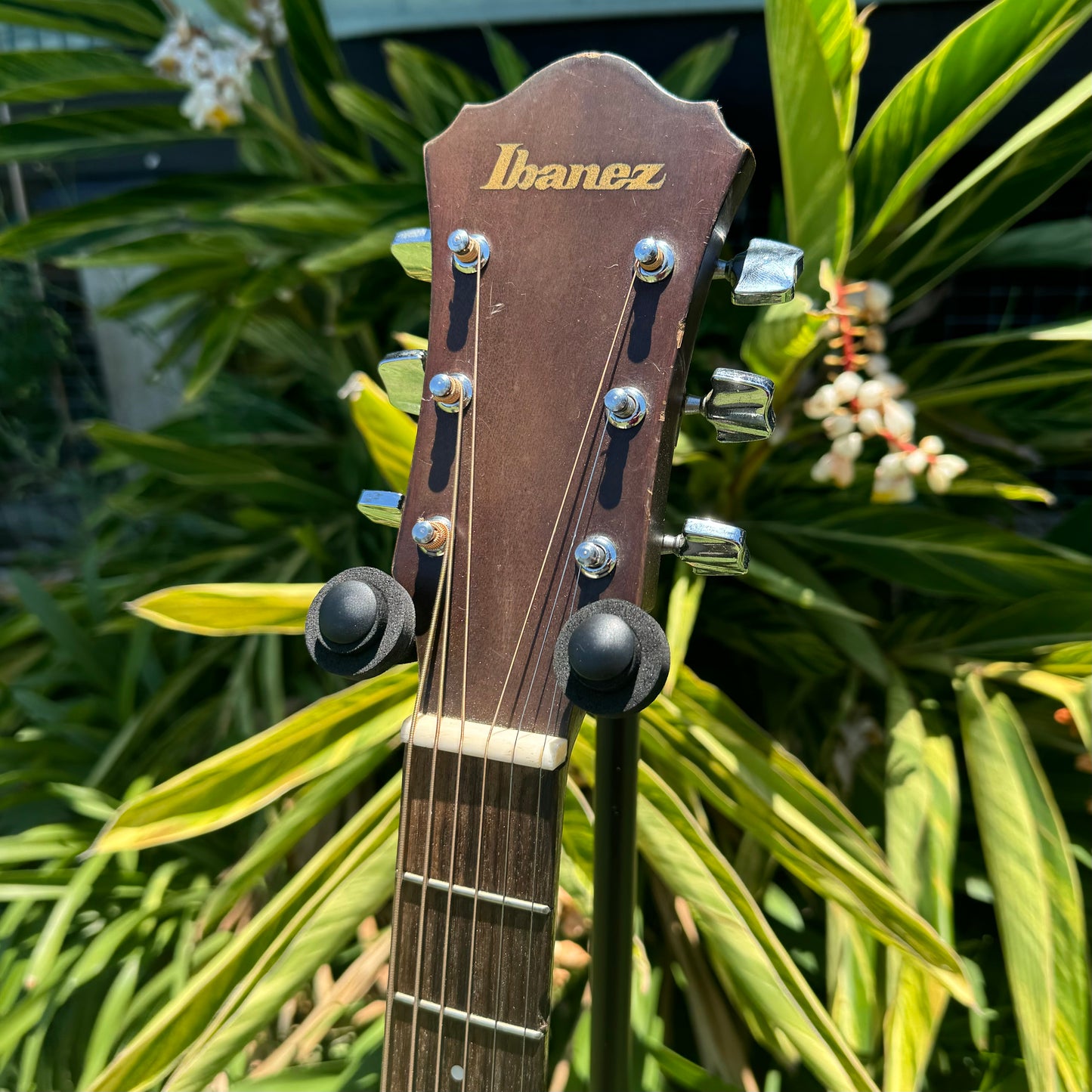 Ibanez V280 Dreadnought